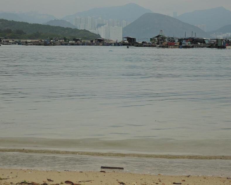 Algunos rascacielos de Hong Kong vistos desde Lamma