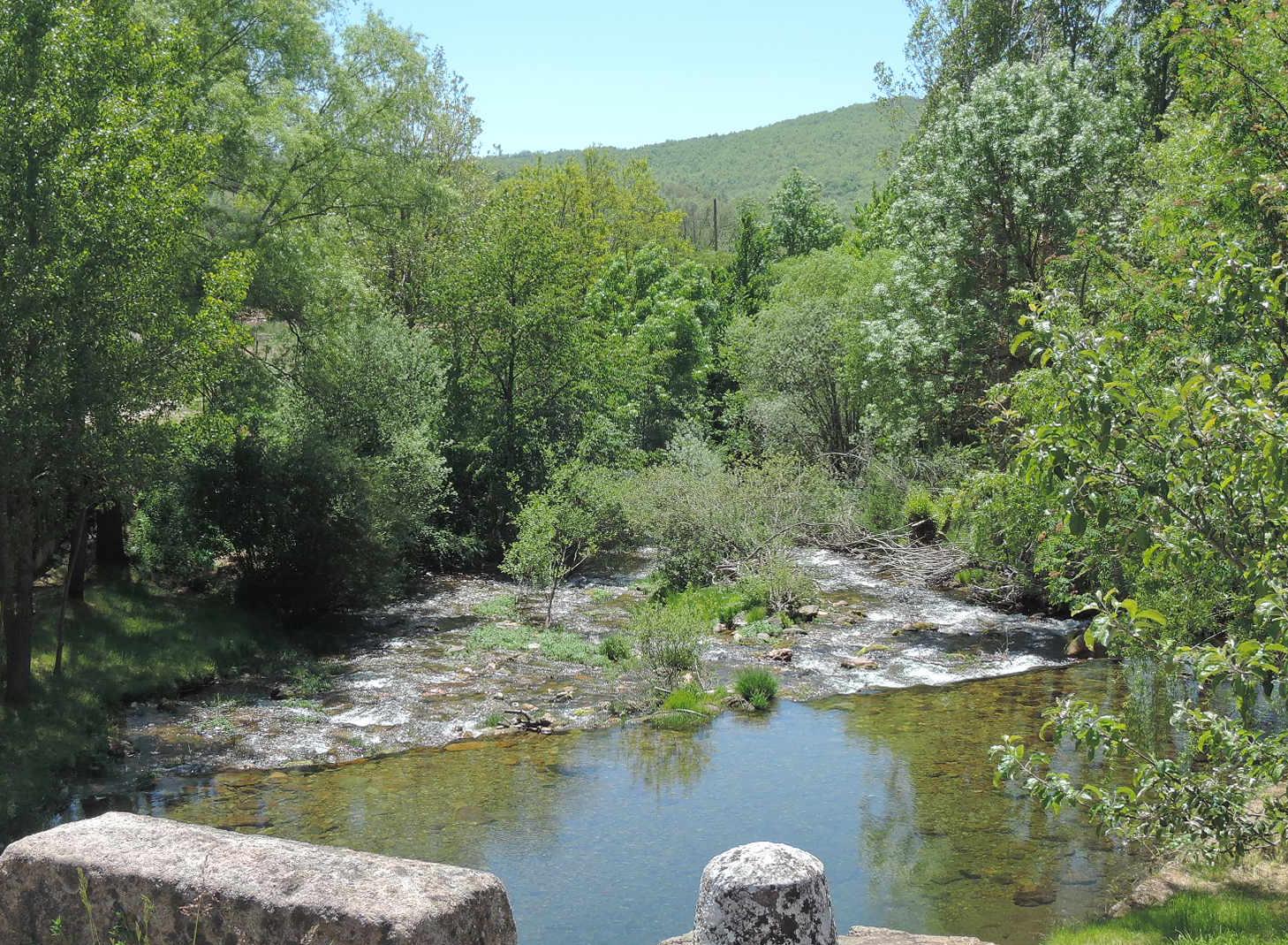 Río Pedroso, a su paso por Barbadillo de Herreros.