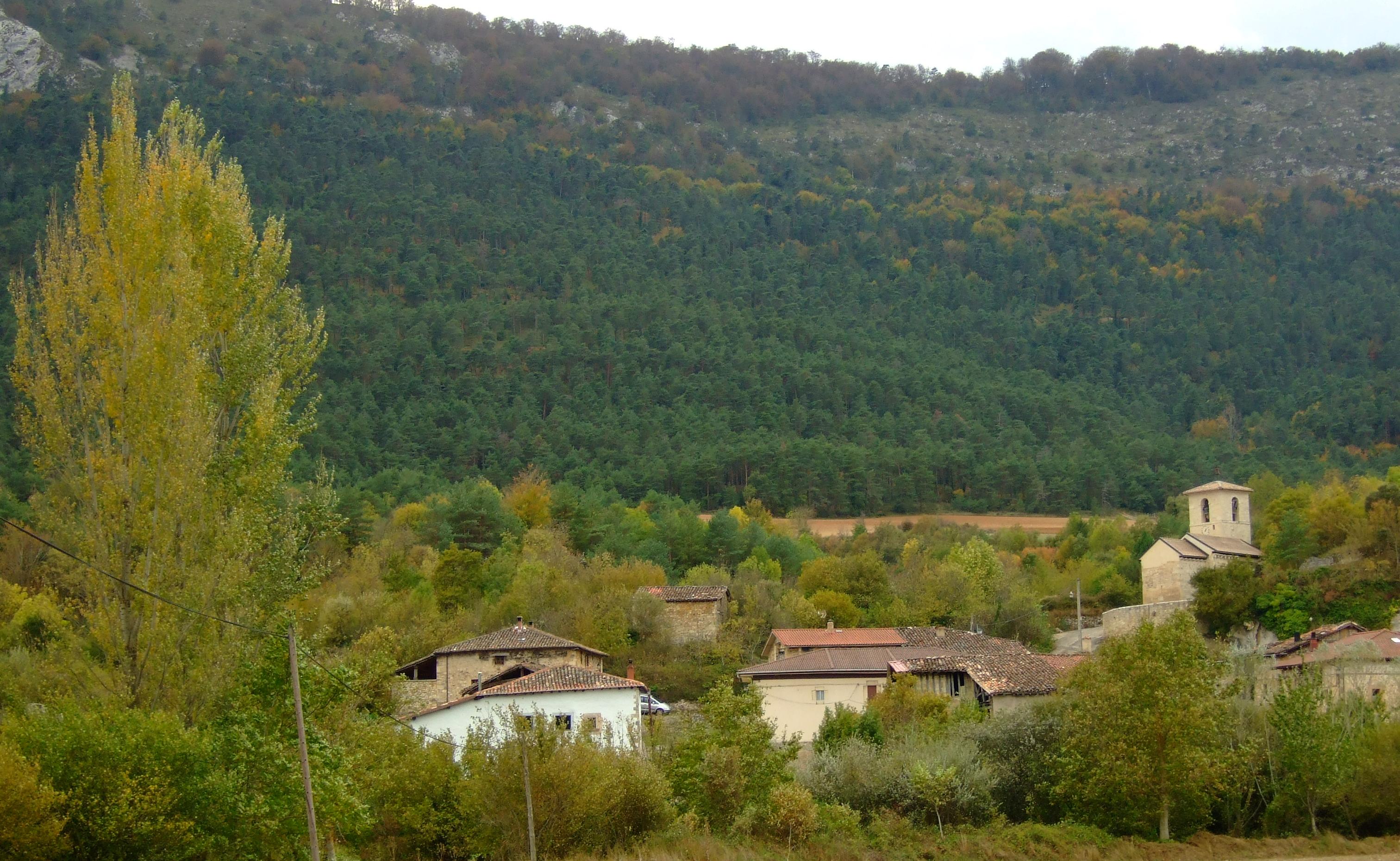 pinares