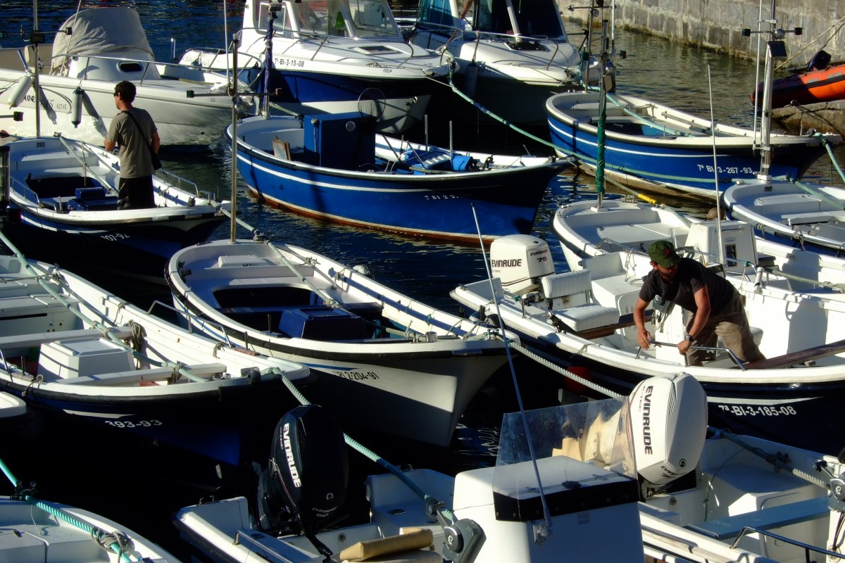 Movimiento entre las pequeñas barquitas