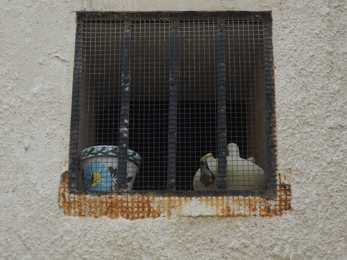 Detalle folclórico