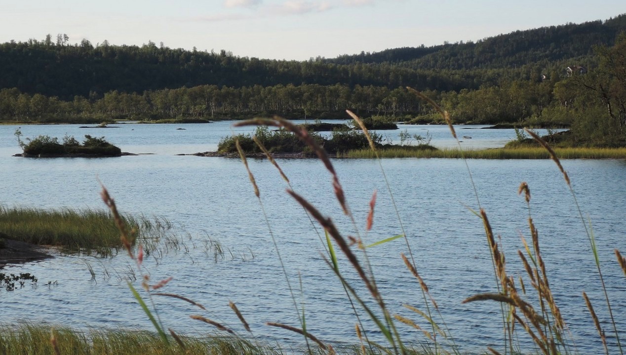 Lago Andsvadnet