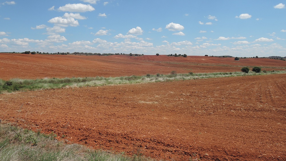 Rojos campos de Castilla