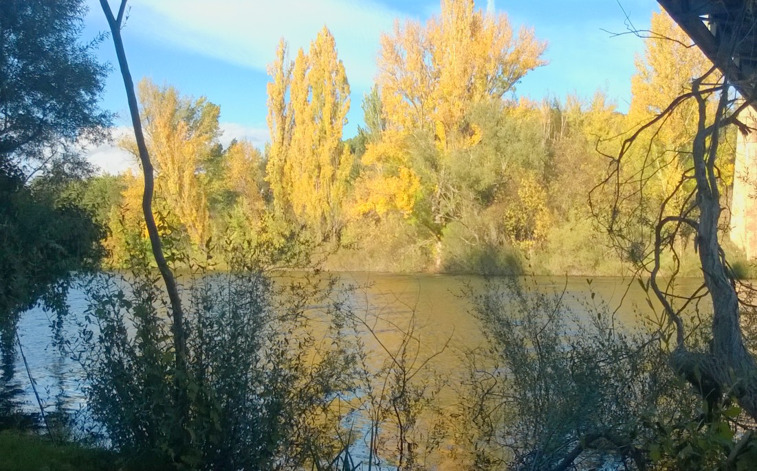 Riberas del Duero junto a Soria