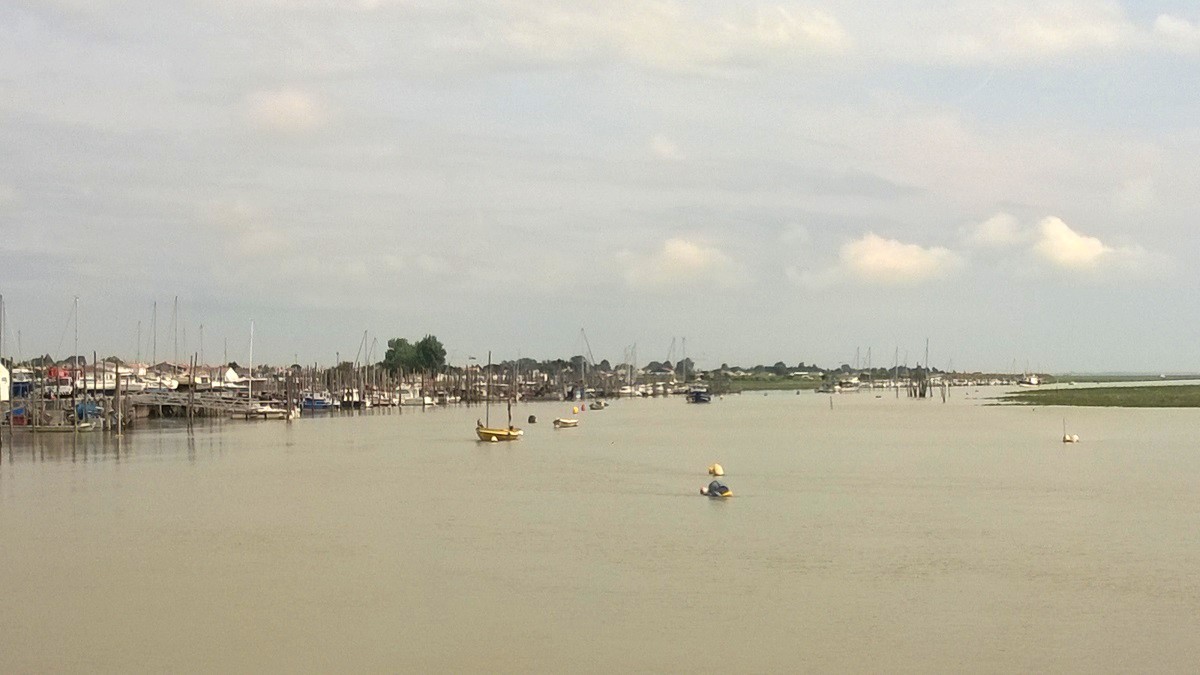 Estuario entre L'Aiguillon-sur-mer y La Faute-sur-mer